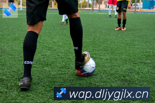 开云kaiyun入口荣誉