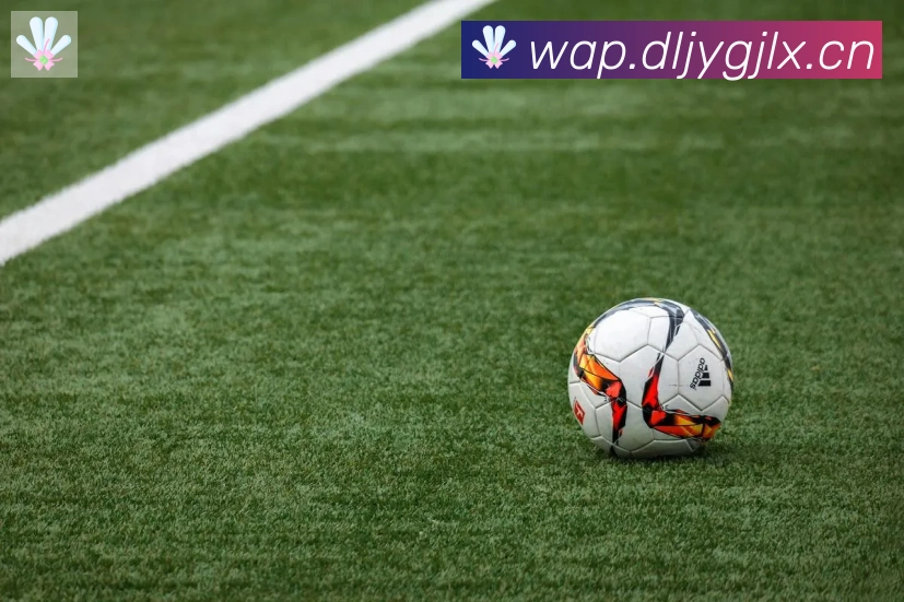 开云kaiyun入口荣誉