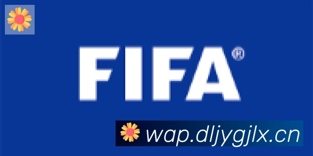 开云kaiyun入口合作伙伴